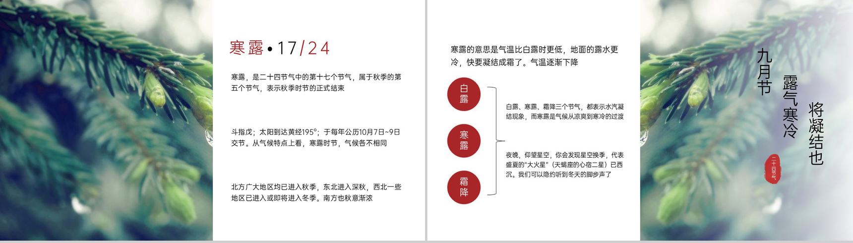 绿色简约二十四节气寒露公开课教学主题班会介绍PPT模板-3