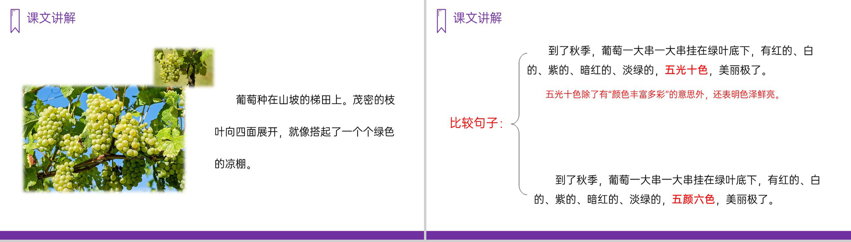 《葡萄沟》人教版二年级上册语文PPT课件-8