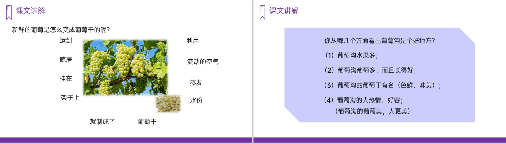 《葡萄沟》人教版二年级上册语文PPT课件-10