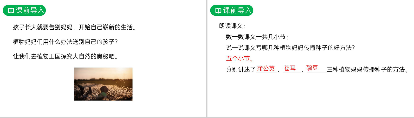 《植物妈妈有办法》人教版二年级上册语文PPT课件-2