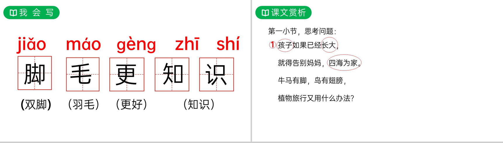 《植物妈妈有办法》人教版二年级上册语文PPT课件-7