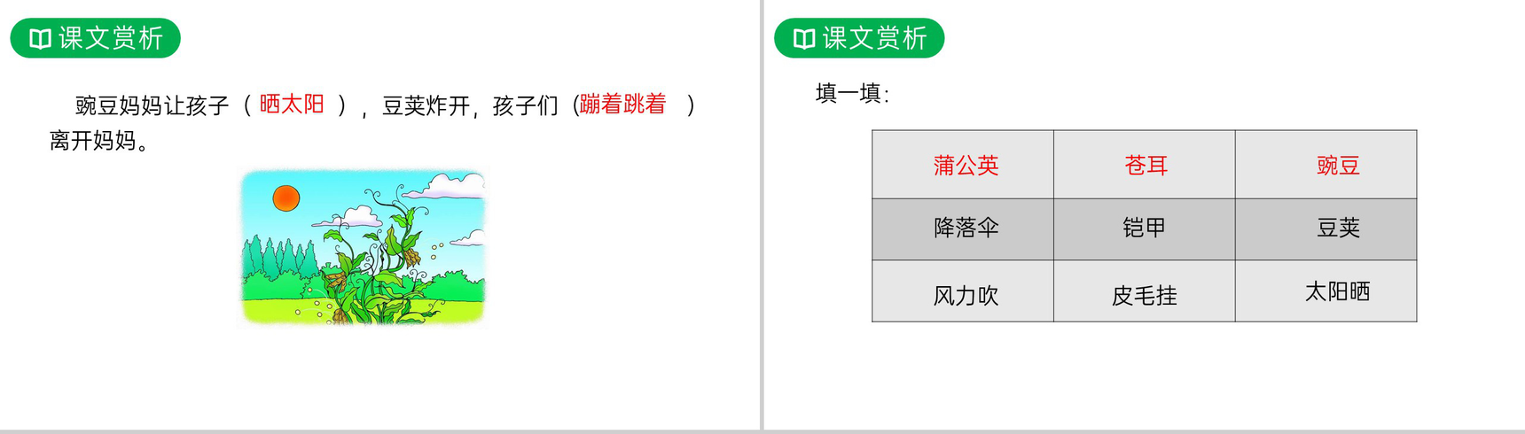 《植物妈妈有办法》人教版二年级上册语文PPT课件-11