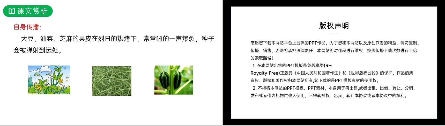 《植物妈妈有办法》人教版二年级上册语文PPT课件-14