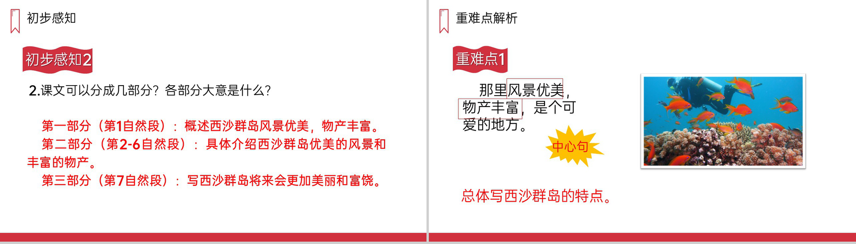 《富饶的西沙群岛》人教版三年级上册语文PPT课件-9