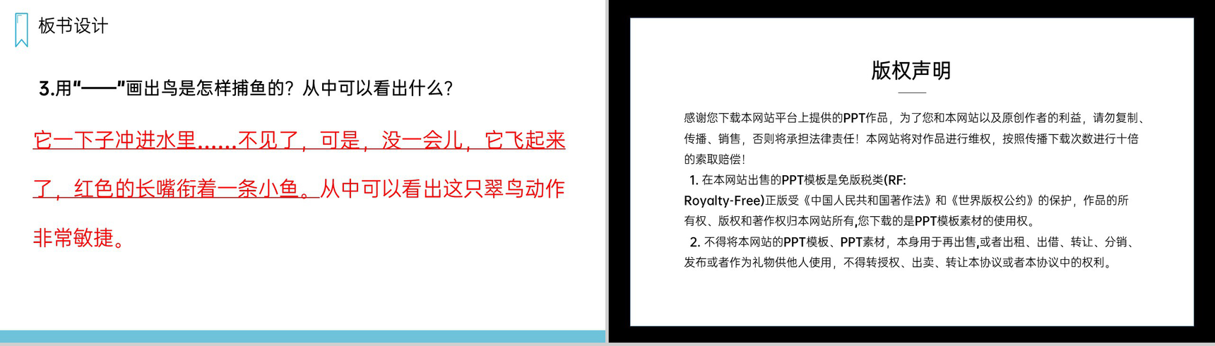 《搭船的鸟》人教版三年级上册语文PPT课件-11