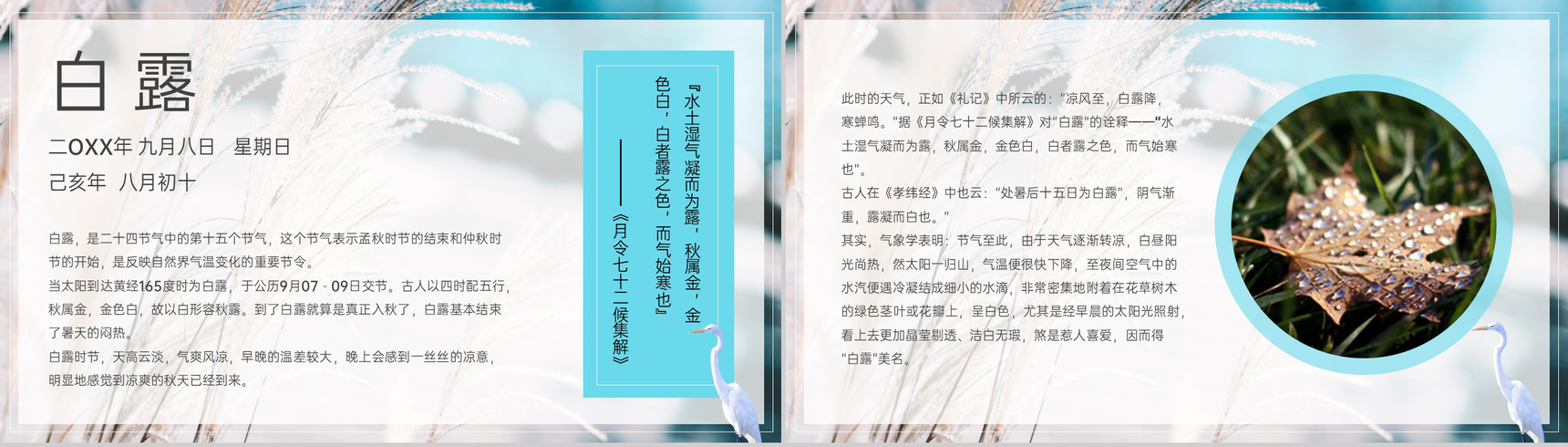 青色简约风中国传统节气白露介绍文化习俗科普PPT模板-3