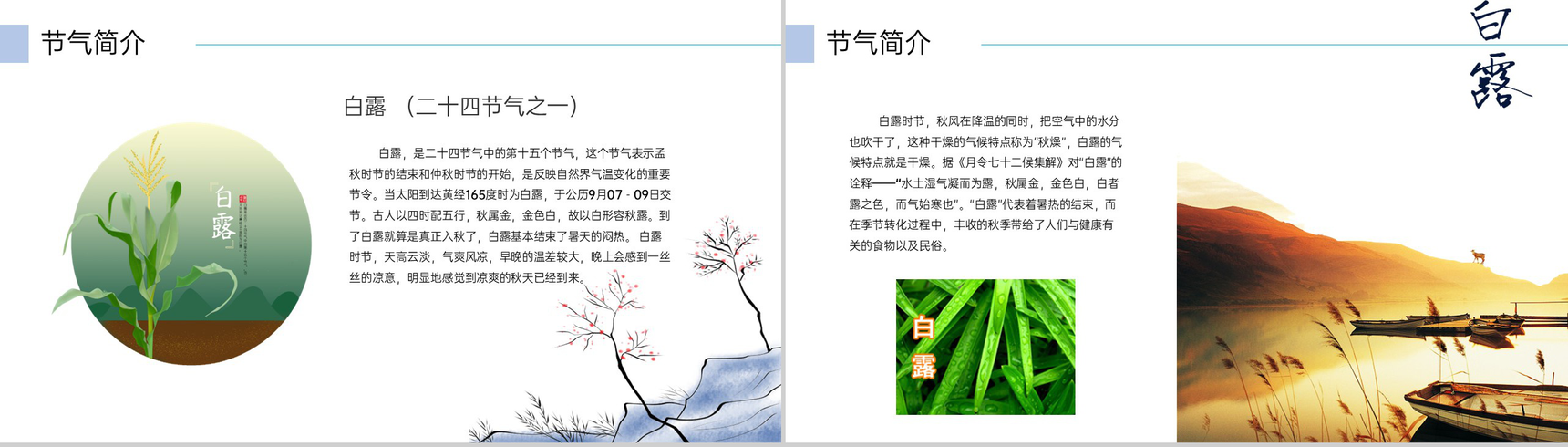 蓝绿色清新风中华传统二十四节气之白露文化习俗PPT模板-3