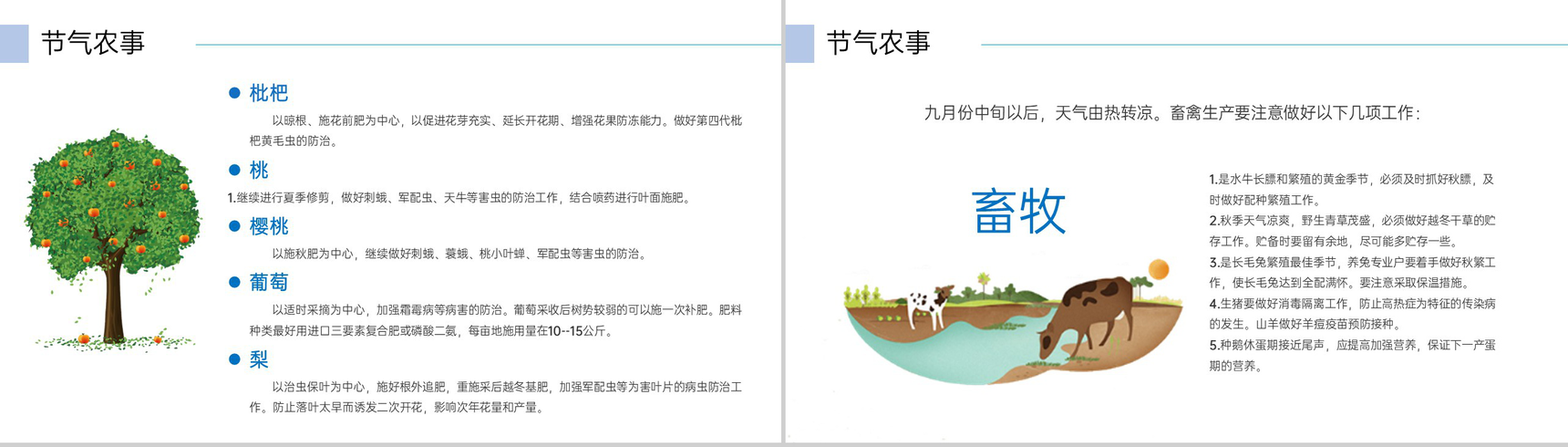 蓝绿色清新风中华传统二十四节气之白露文化习俗PPT模板-16