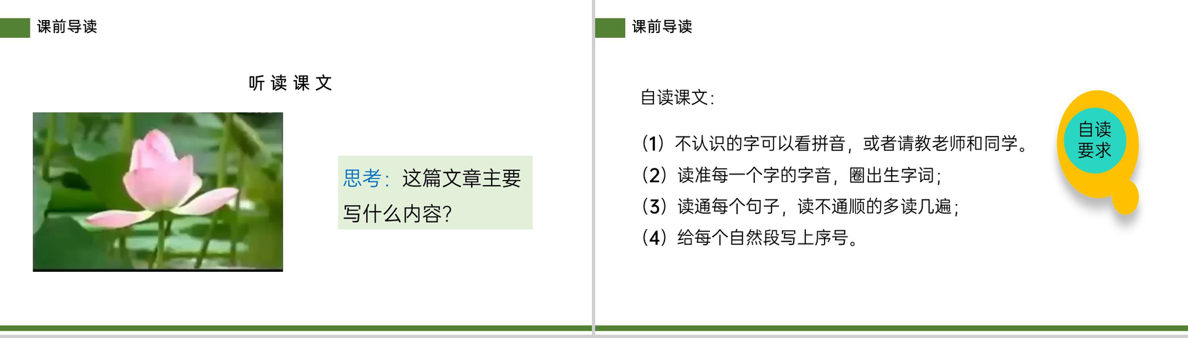 《荷花》小学三年级语文下册第一单元精品PPT课件-4