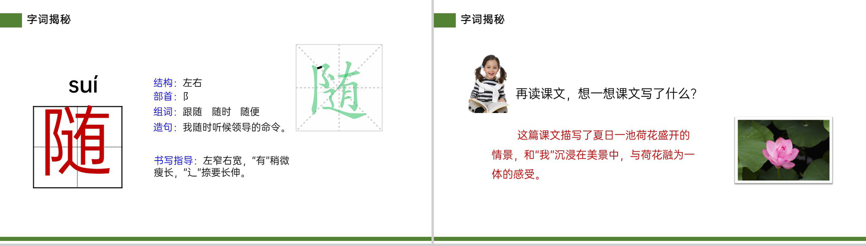 《荷花》小学三年级语文下册第一单元精品PPT课件-13