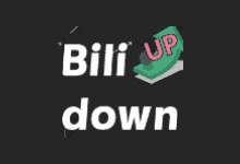 Bilidown(B站视频下载工具) v1.2.7 中文绿色版 - 青笺杂货铺 - 软件资源下载分享